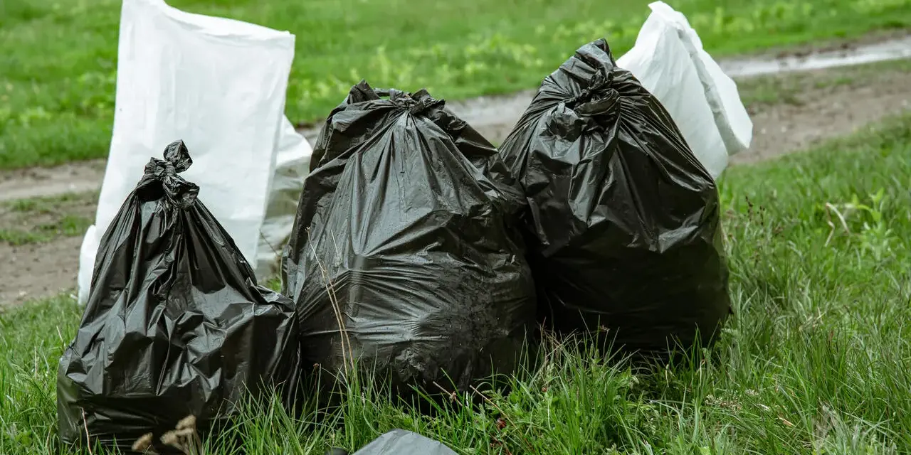 Workmen's bags of garden waste sit on grass. Czy można wywieźć gałęzie do lasu? To pytanie zadaje sobie wielu.