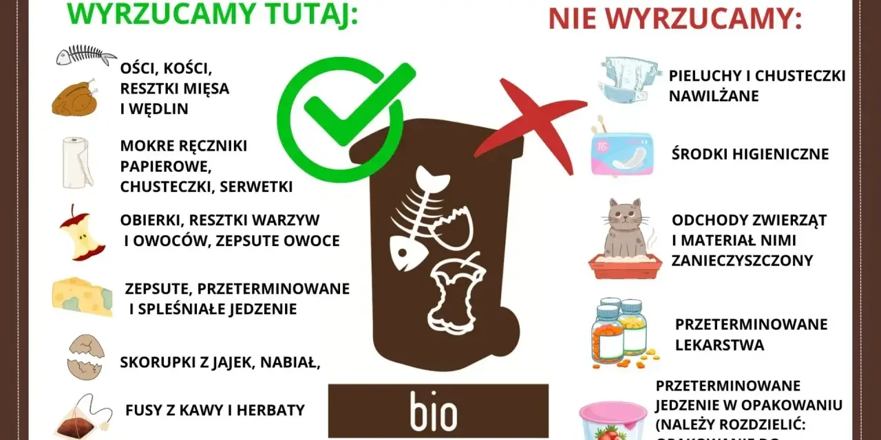 Gdzie wyrzucać resztki jedzenia? Do bio trafiają obierki, resztki warzyw i owoców, fusy, skorupki jaj. Nie wyrzucaj pieluch, środków higienicznych ani odchodów zwierząt.