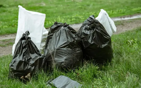 Workmen's bags of garden waste sit on grass. Czy można wywieźć gałęzie do lasu? To pytanie zadaje sobie wielu.