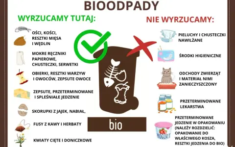 Gdzie wyrzucać resztki jedzenia? Do bio trafiają obierki, resztki warzyw i owoców, fusy, skorupki jaj. Nie wyrzucaj pieluch, środków higienicznych ani odchodów zwierząt.