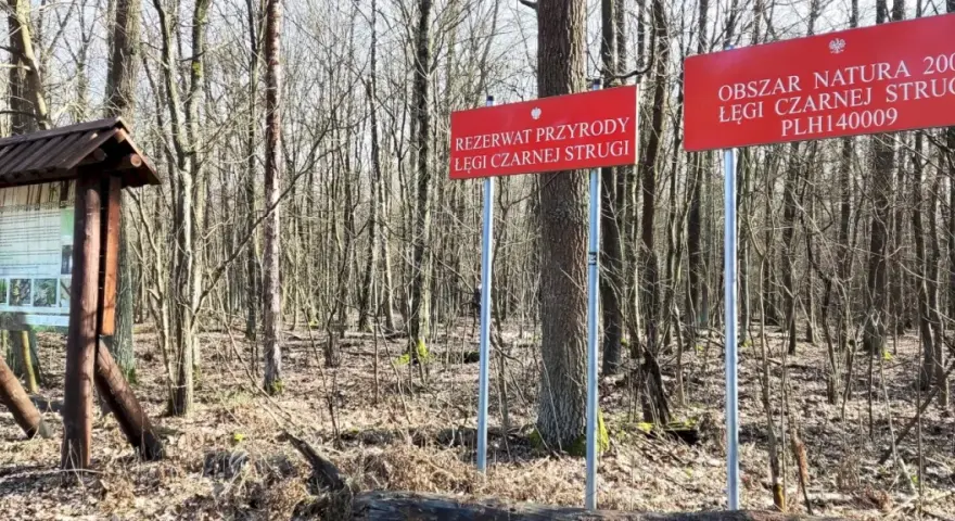 Rezerwaty przyrody w Warszawie - odkryj ukryte skarby natury