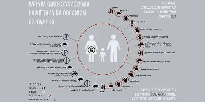 Jakie są skutki zanieczyszczeń? Szokujące efekty dla zdrowia i środowiska