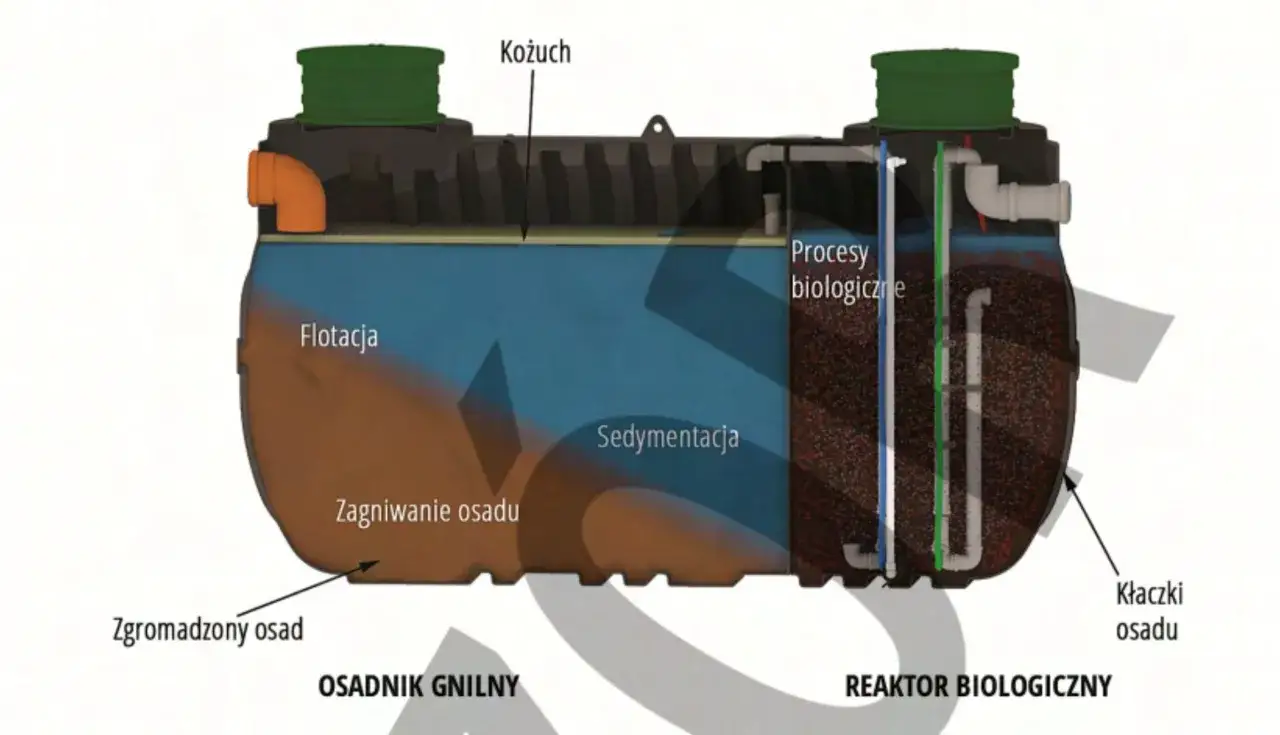 Schemat oczyszczalni biologicznej: kożuch na powierzchni, flotacja, sedymentacja osadu, procesy biologiczne w reaktorze.