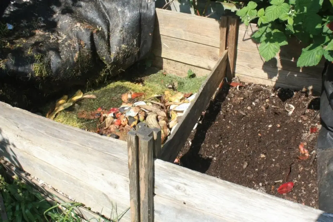 Kompostownik z resztkami organicznymi i gotowym kompostem. Zastanawiasz się, czym posypać kompostownik? Trawa i liście to świetny dodatek.