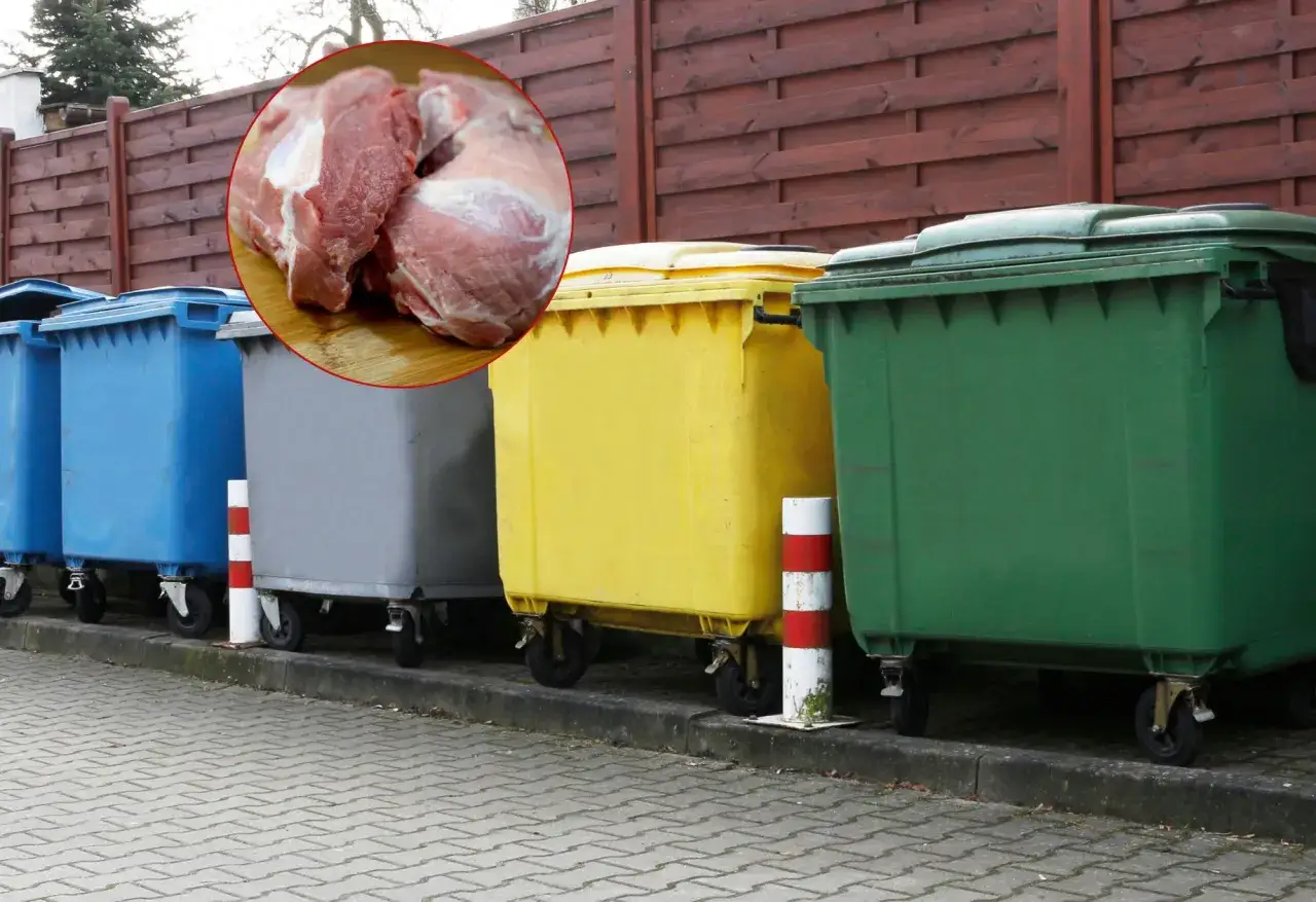 Zepsute mięso? Zastanawiasz się, gdzie wyrzucić zepsute mięso? Te kontenery na śmieci mogą pomóc.
